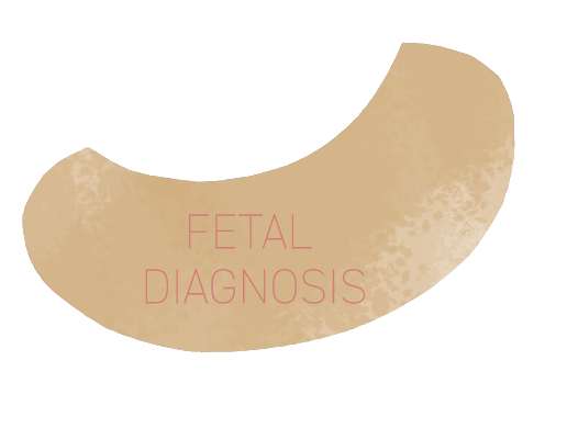 FETAL DIAGNOSIS